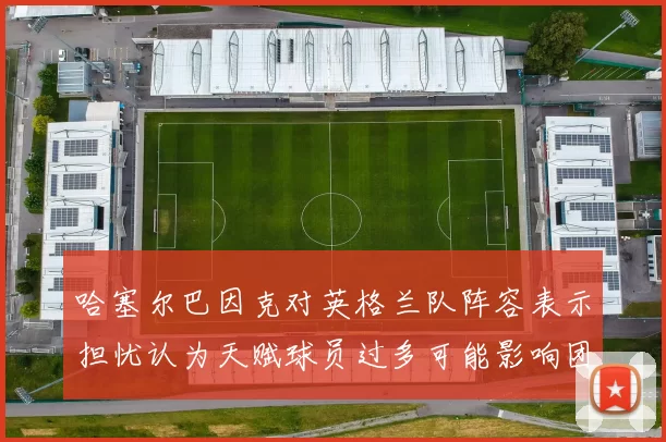 哈塞尔巴因克对英格兰队阵容表示担忧认为天赋球员过多可能影响团队合作