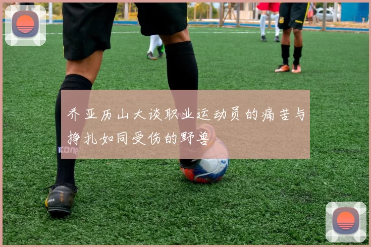 乔亚历山大谈职业运动员的痛苦与挣扎如同受伤的野兽