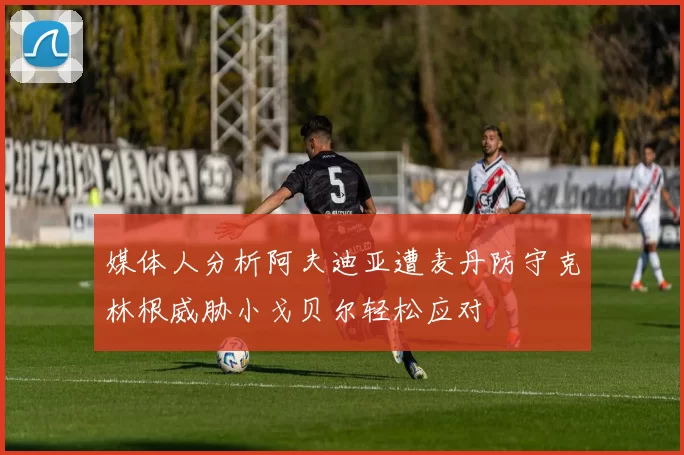 媒体人分析阿夫迪亚遭麦丹防守克林根威胁小戈贝尔轻松应对